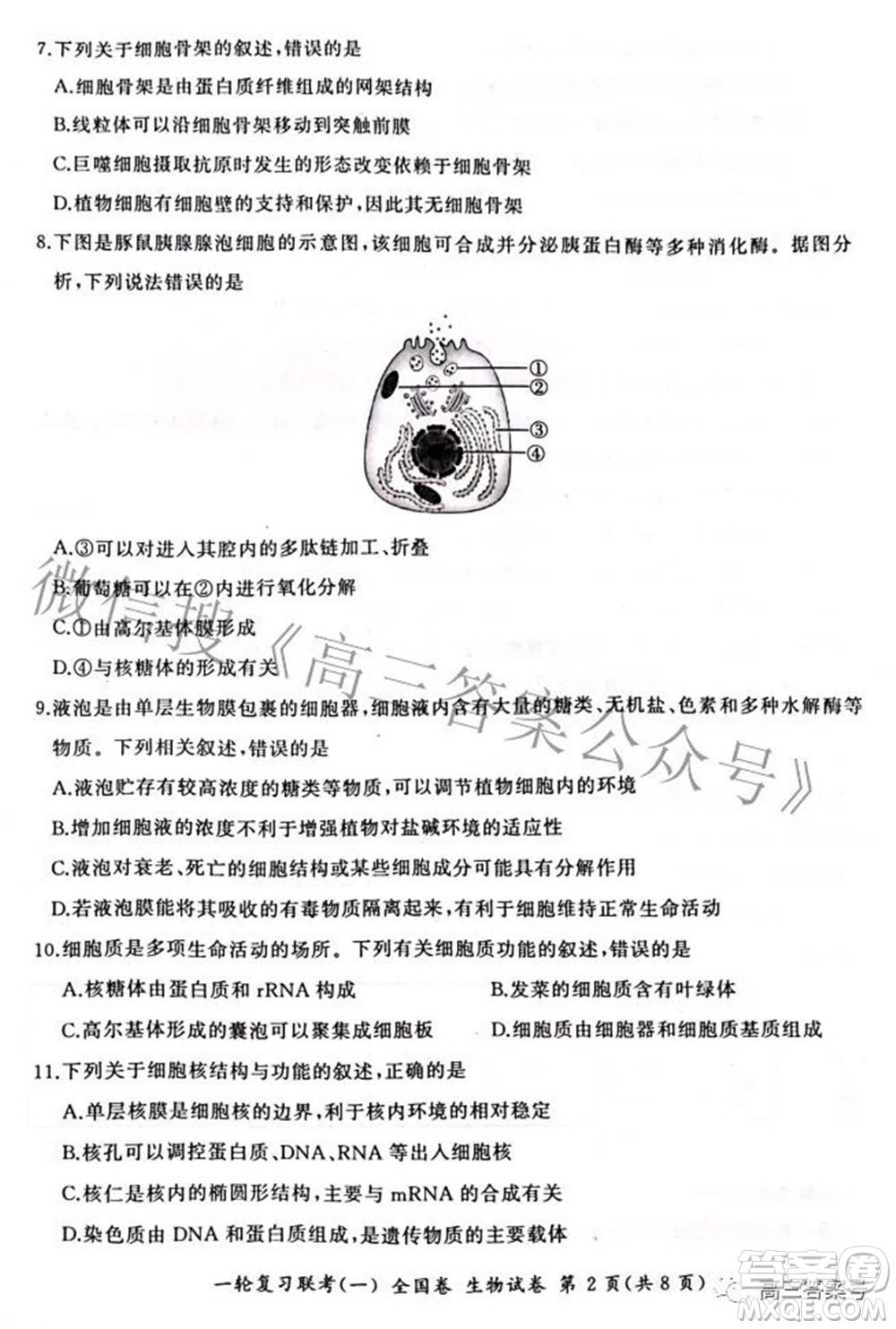 百師聯(lián)盟2023屆高三一輪復習聯(lián)考一全國卷生物試題及答案