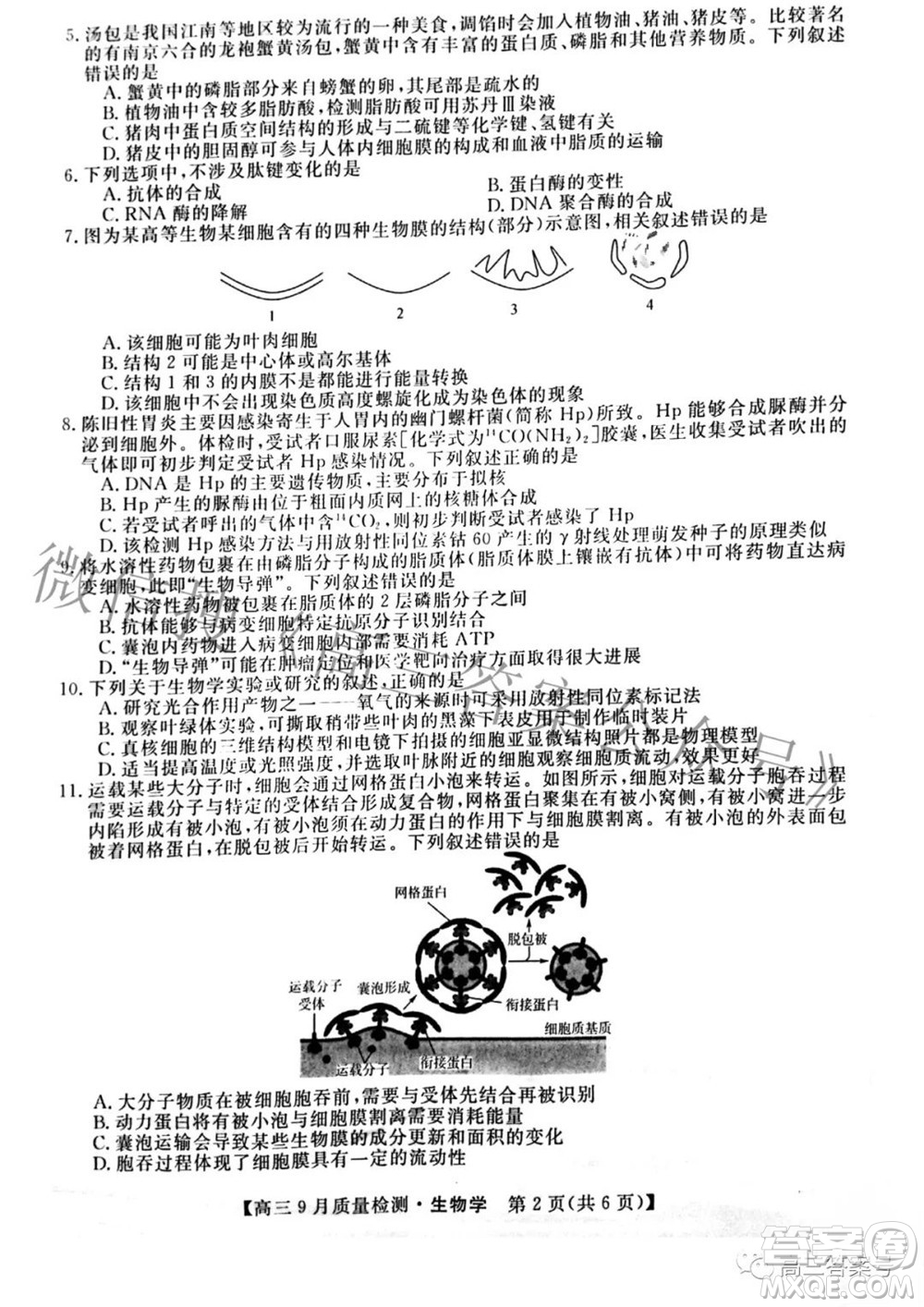 金科大聯考2022-2023學年度高三9月質量檢測生物學試題及答案
