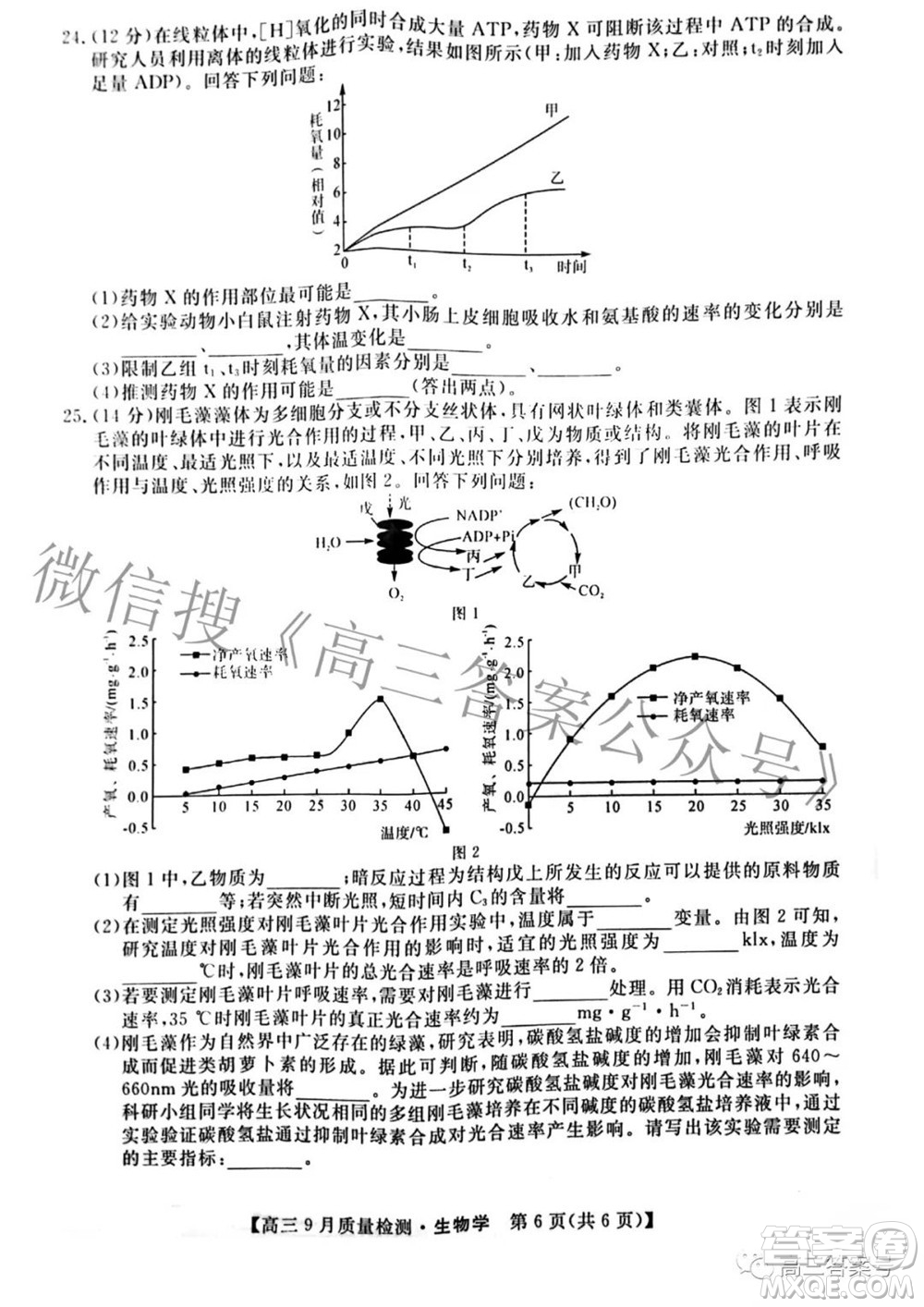 金科大聯考2022-2023學年度高三9月質量檢測生物學試題及答案