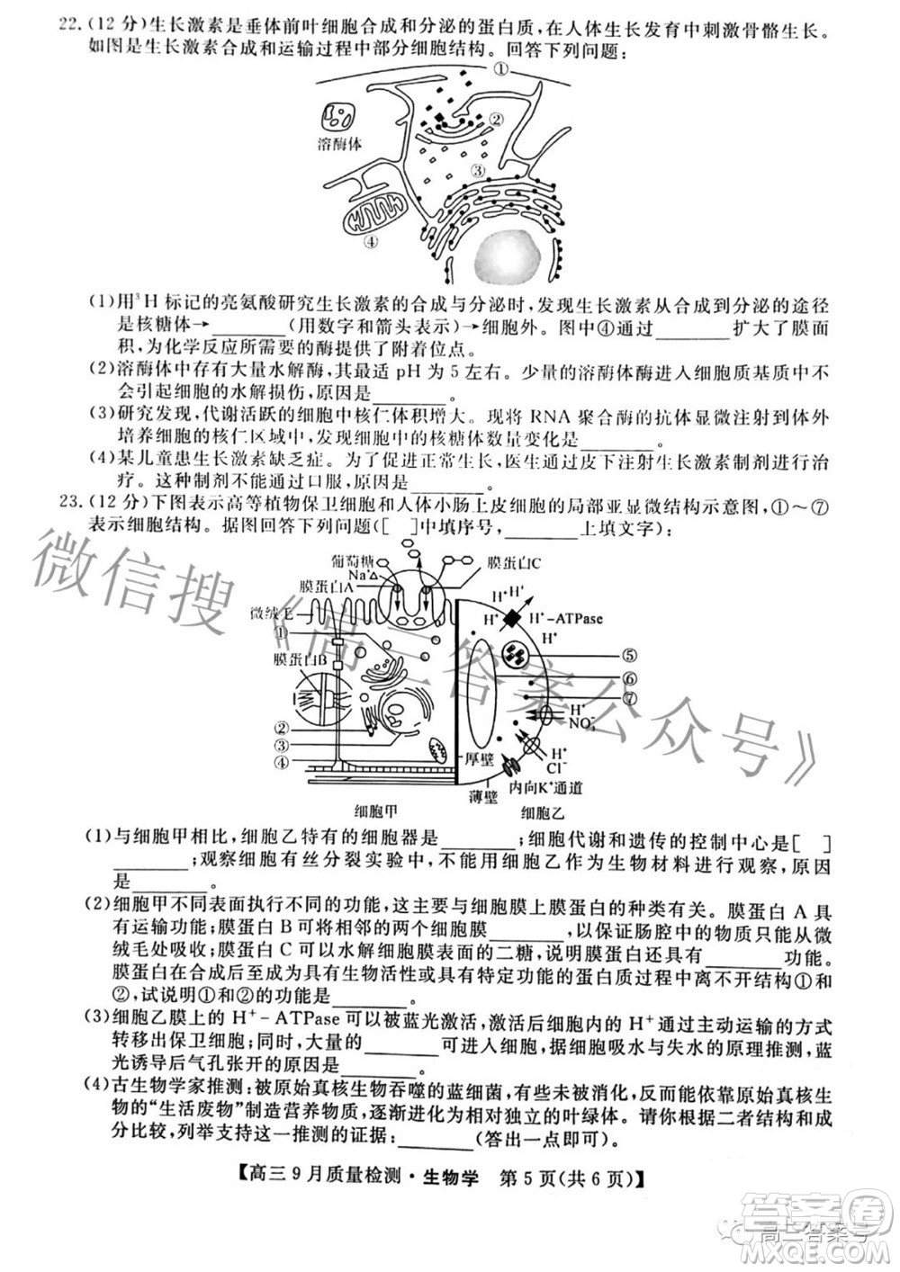 金科大聯考2022-2023學年度高三9月質量檢測生物學試題及答案