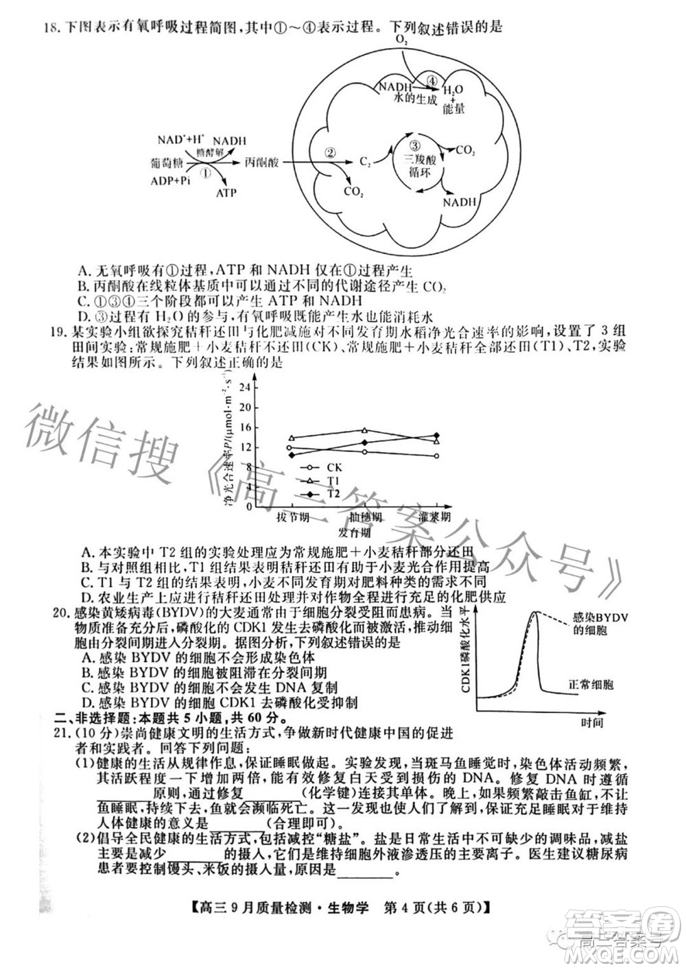 金科大聯考2022-2023學年度高三9月質量檢測生物學試題及答案
