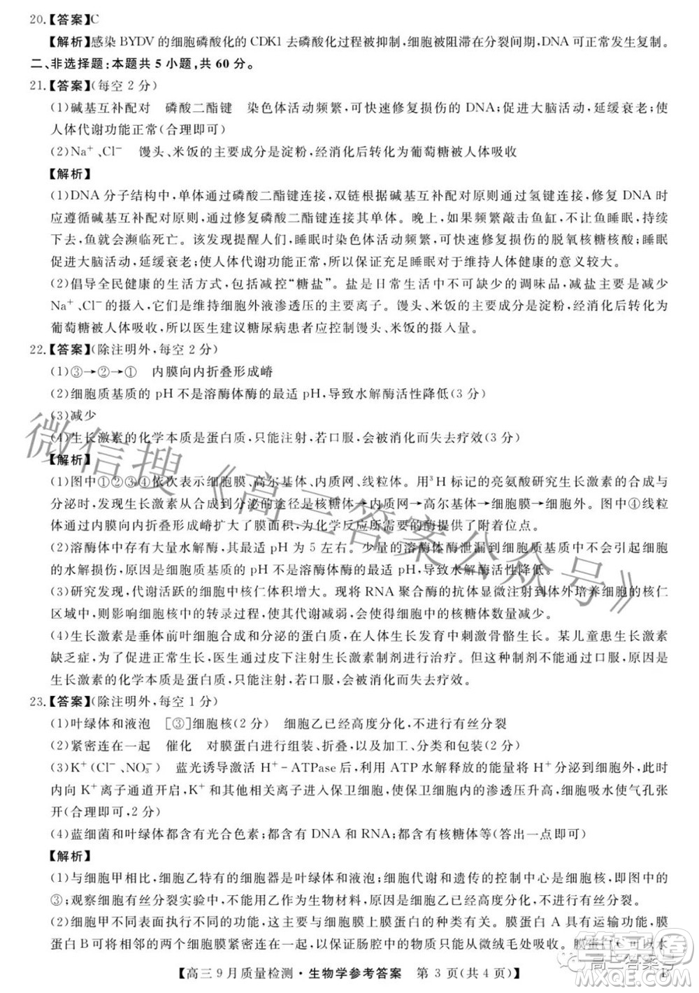 金科大聯考2022-2023學年度高三9月質量檢測生物學試題及答案