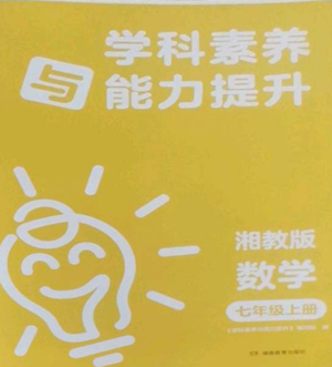 湖南教育出版社2022學科素養(yǎng)與能力提升七年級上冊數(shù)學湘教版參考答案