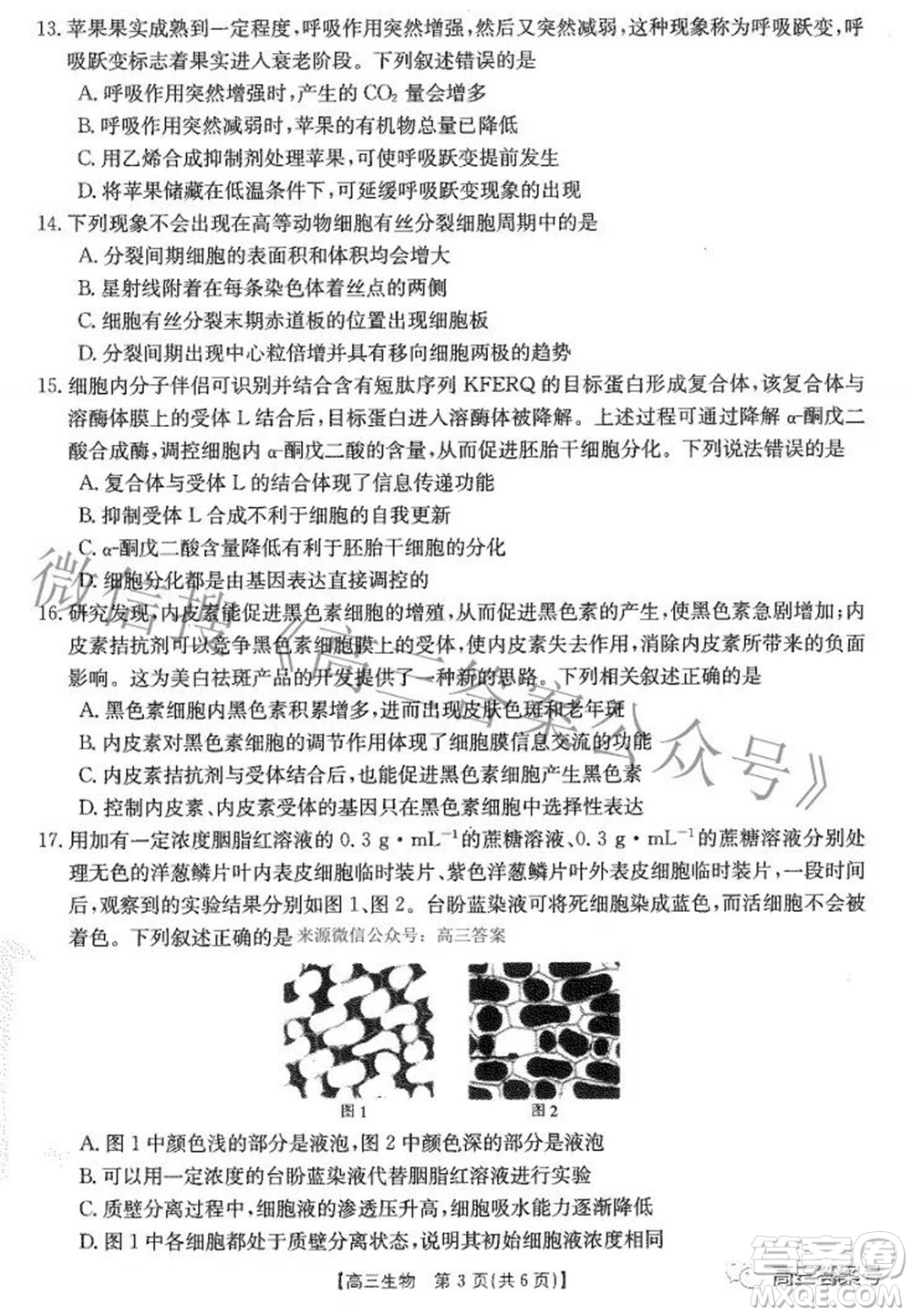 2023屆貴州金太陽(yáng)高三9月聯(lián)考生物試題及答案
