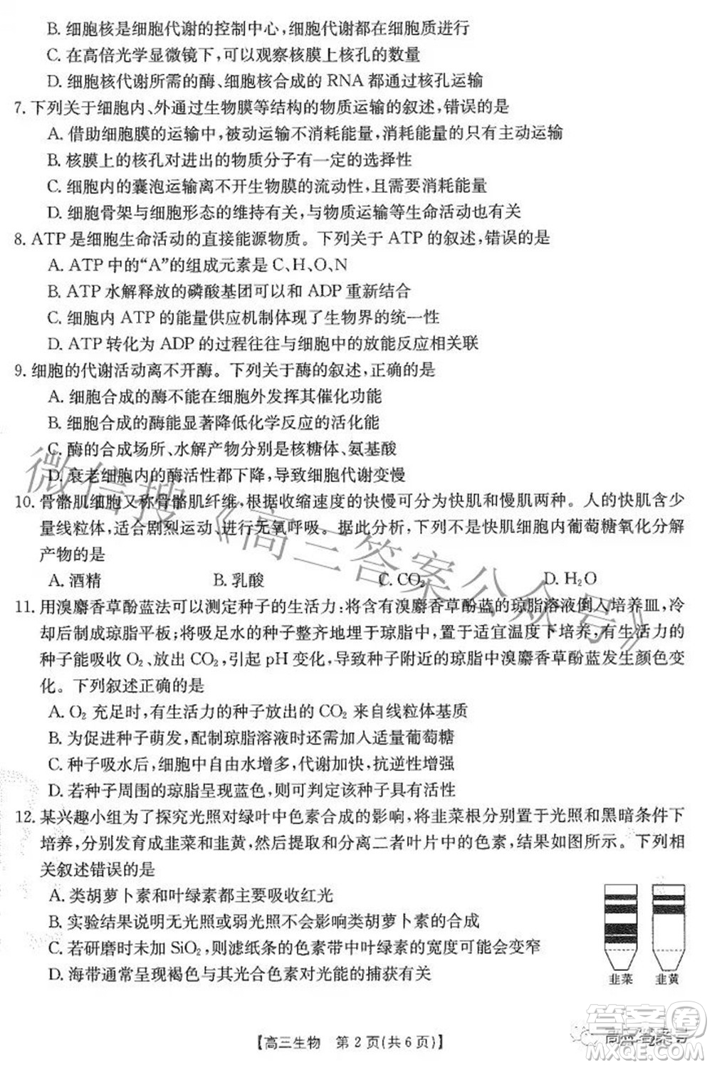 2023屆貴州金太陽(yáng)高三9月聯(lián)考生物試題及答案