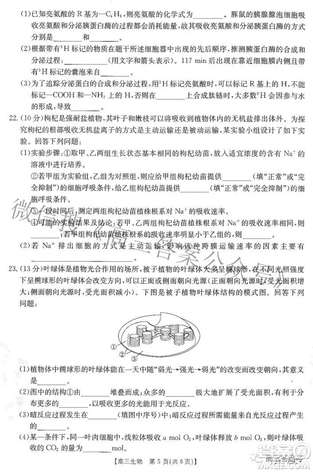 2023屆貴州金太陽(yáng)高三9月聯(lián)考生物試題及答案