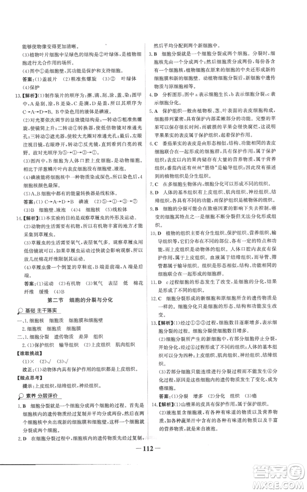 未來出版社2022世紀(jì)金榜金榜學(xué)案七年級(jí)上冊(cè)生物濟(jì)南版參考答案