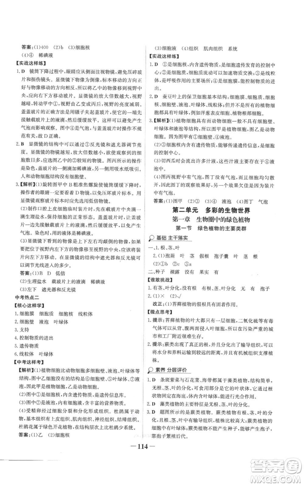 未來出版社2022世紀(jì)金榜金榜學(xué)案七年級(jí)上冊(cè)生物濟(jì)南版參考答案