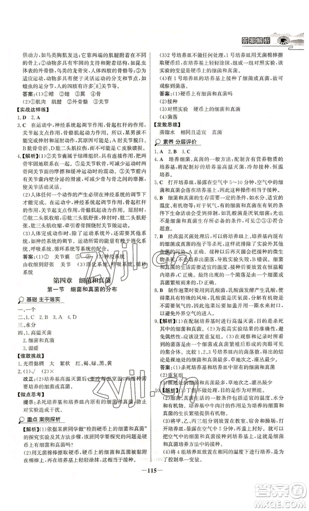 未來出版社2022世紀金榜金榜學(xué)案八年級上冊生物人教版河南專版參考答案