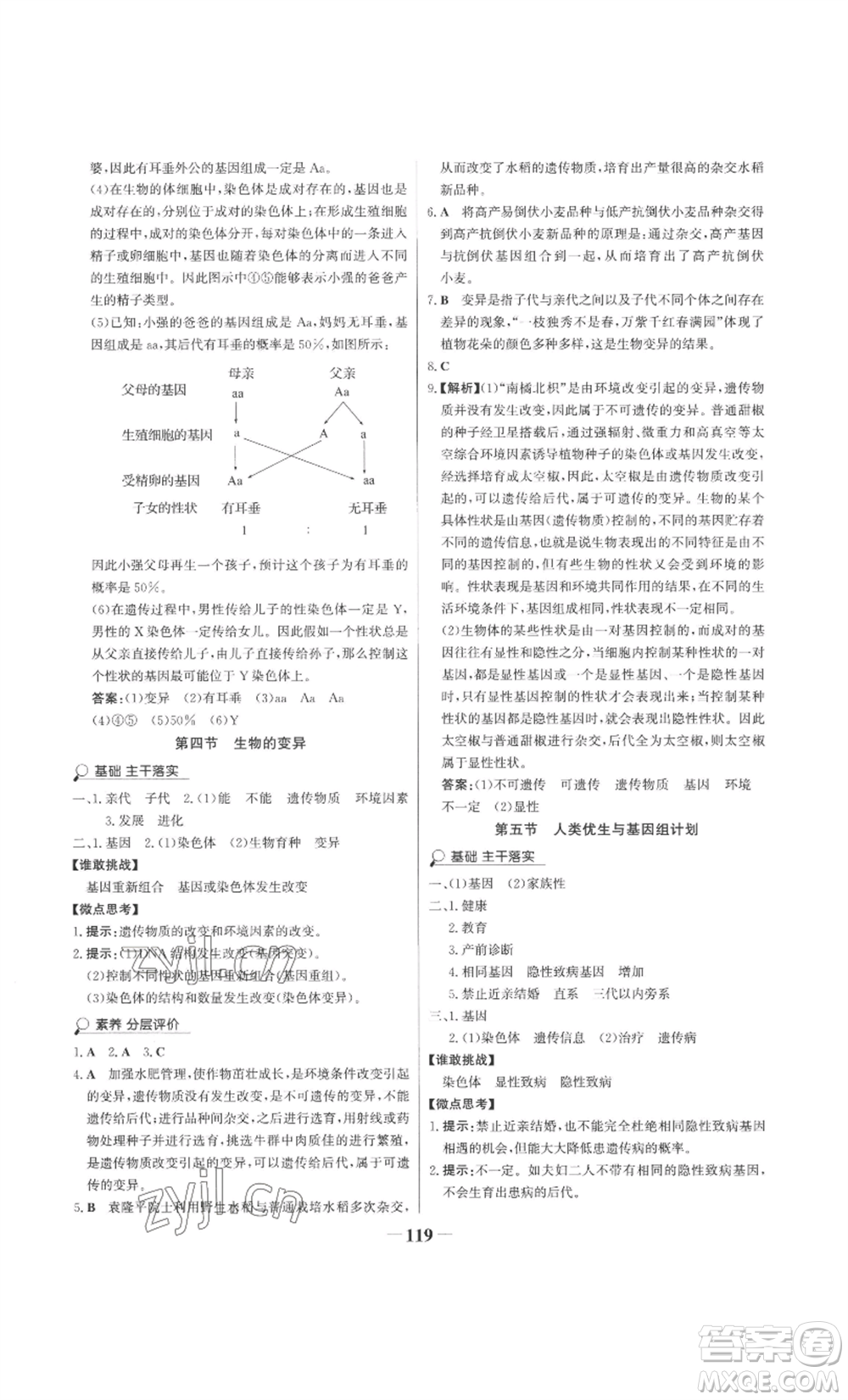 未來出版社2022世紀(jì)金榜金榜學(xué)案八年級(jí)上冊(cè)生物濟(jì)南版參考答案