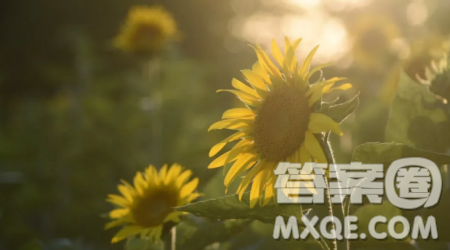 愛(ài)我中華為題作文600字 關(guān)于愛(ài)我中華的作文600字
