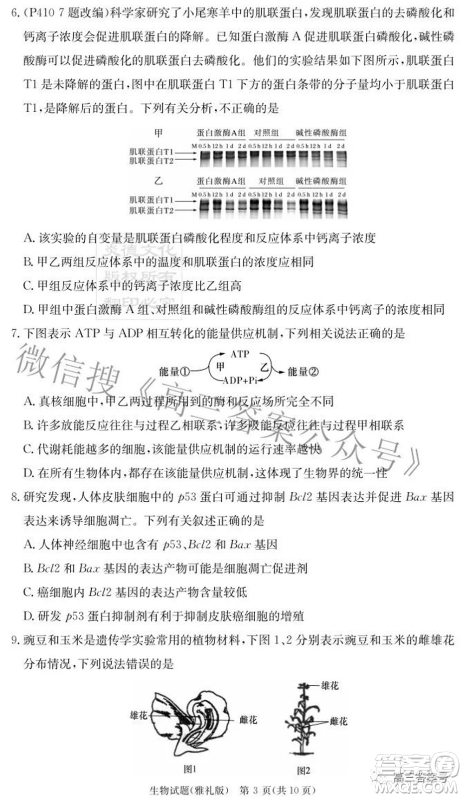 雅禮中學2023屆高三月考試卷二生物試題及答案
