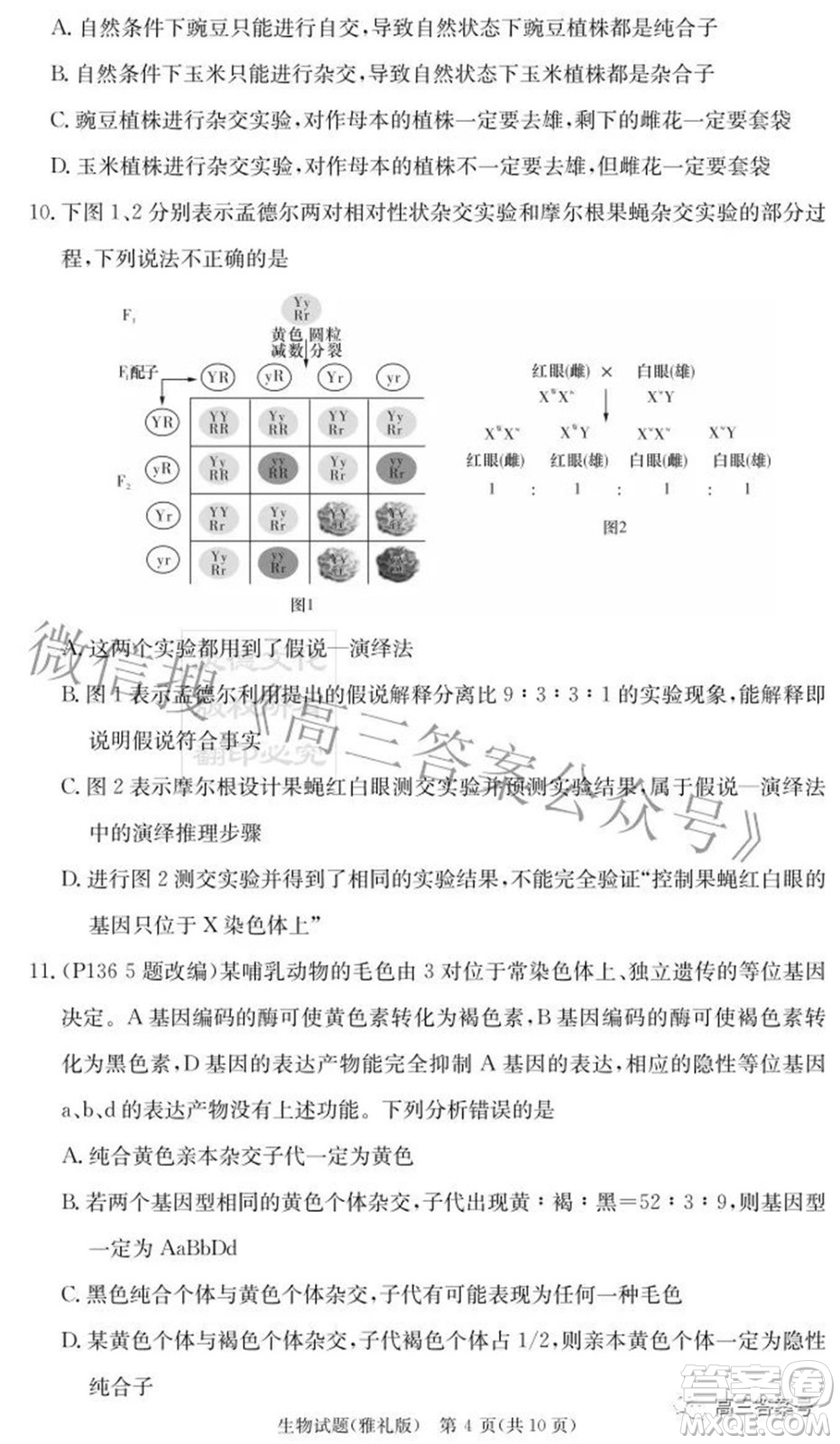 雅禮中學2023屆高三月考試卷二生物試題及答案
