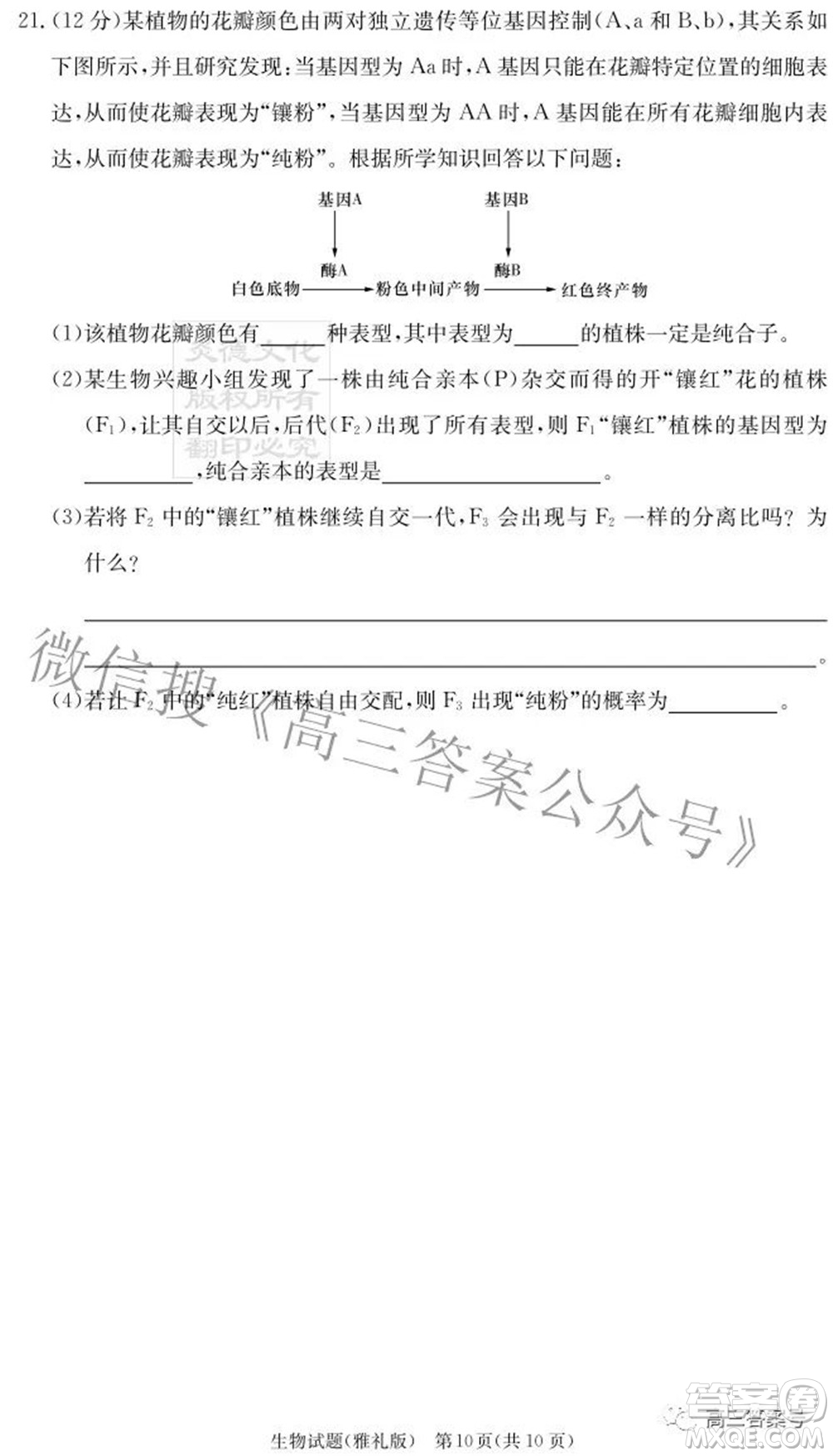 雅禮中學2023屆高三月考試卷二生物試題及答案