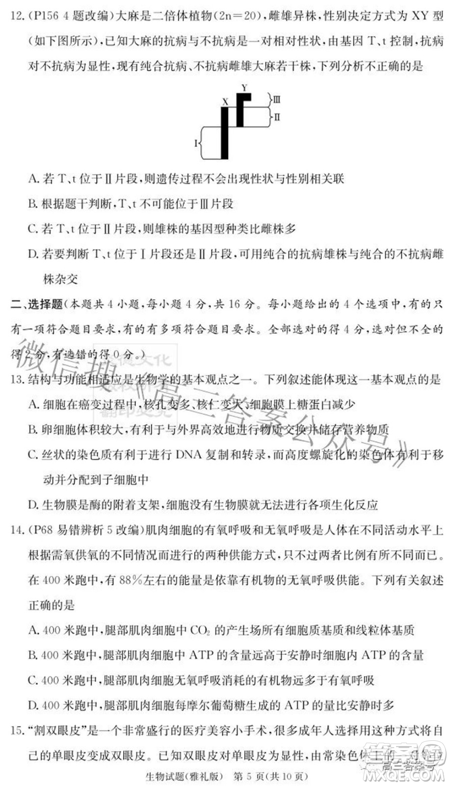 雅禮中學2023屆高三月考試卷二生物試題及答案
