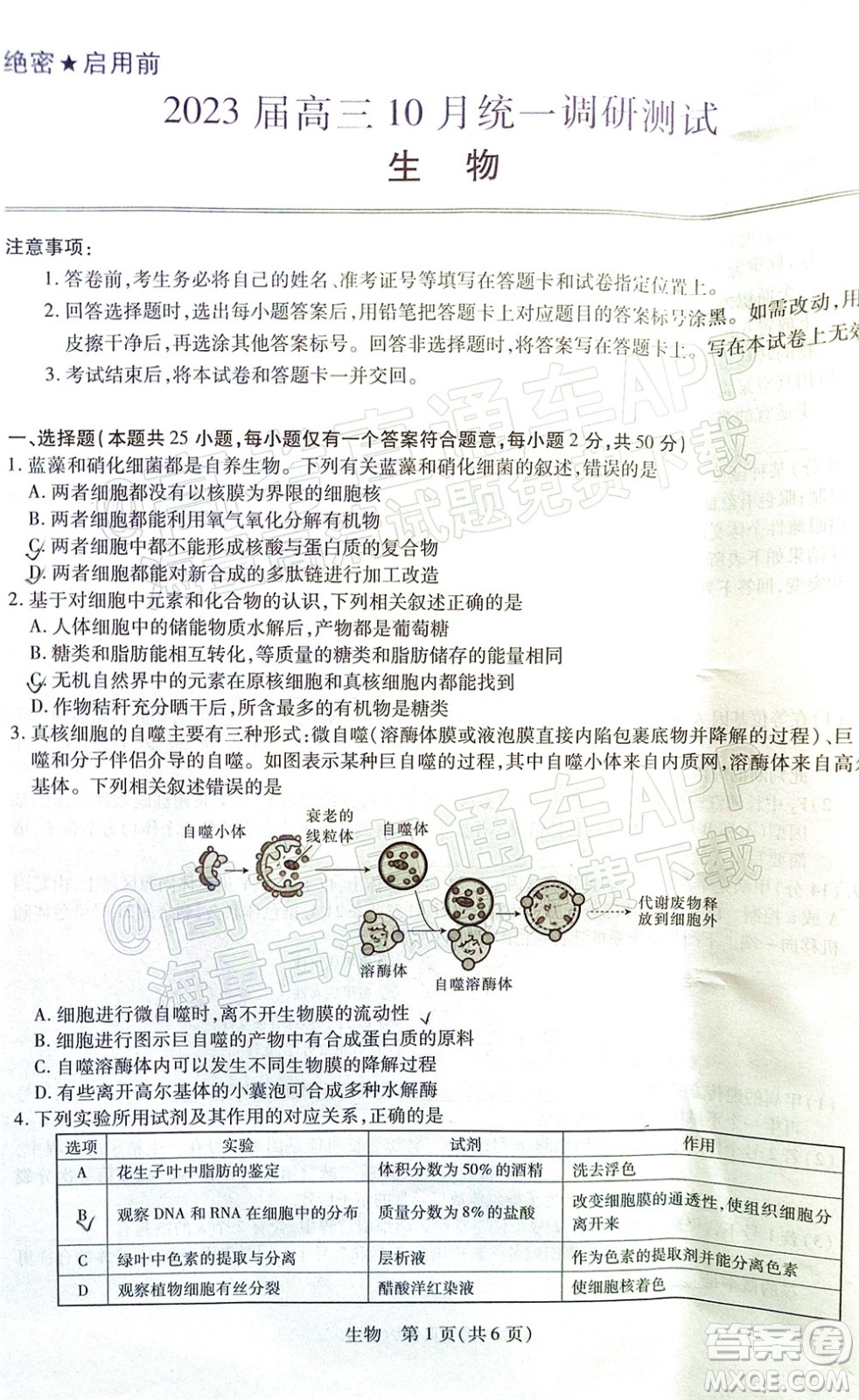 江西穩(wěn)派智慧上進(jìn)2023屆高三10月統(tǒng)一調(diào)研測試生物試題及答案