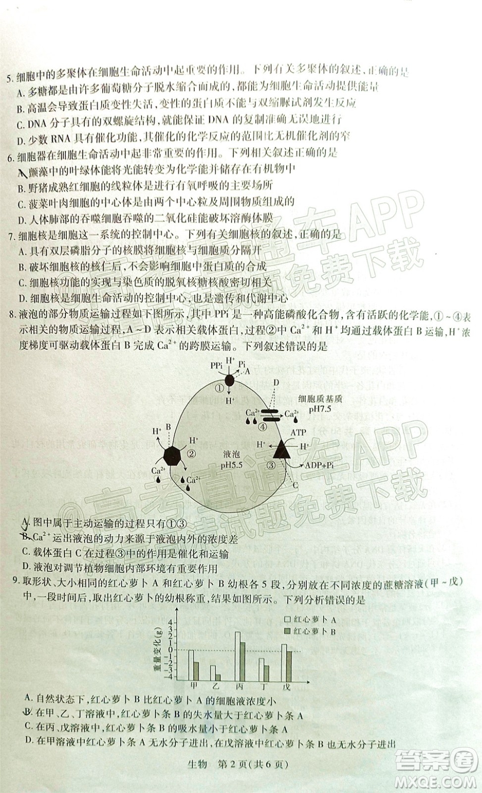 江西穩(wěn)派智慧上進(jìn)2023屆高三10月統(tǒng)一調(diào)研測試生物試題及答案