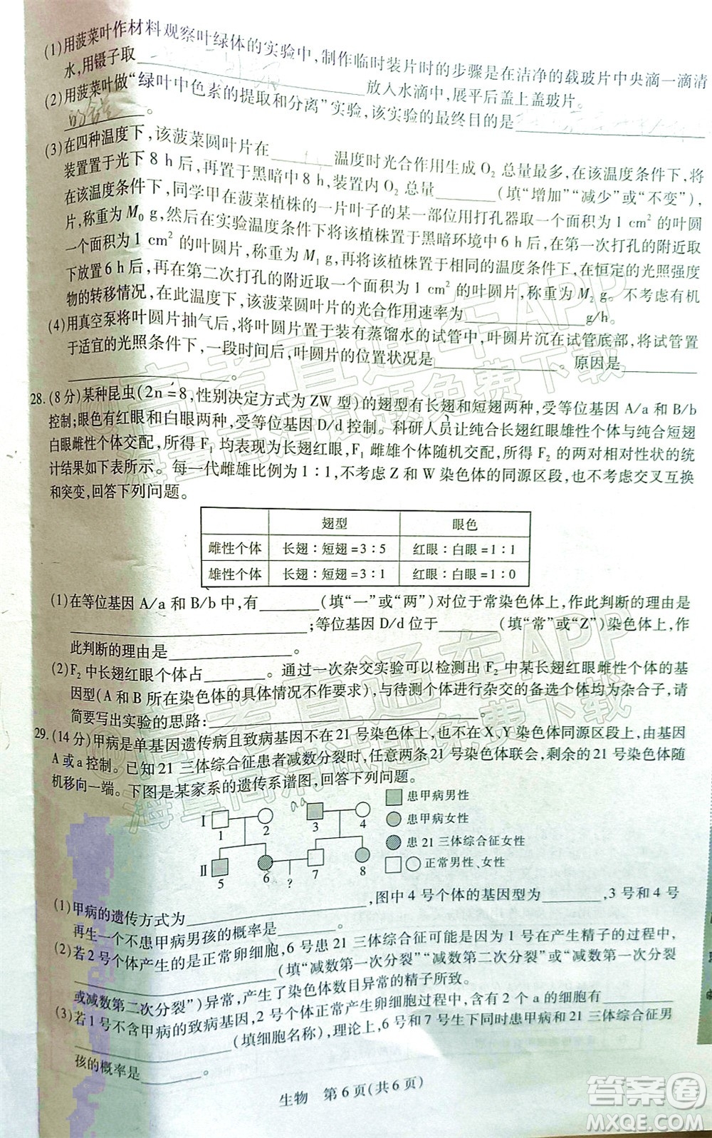 江西穩(wěn)派智慧上進(jìn)2023屆高三10月統(tǒng)一調(diào)研測試生物試題及答案
