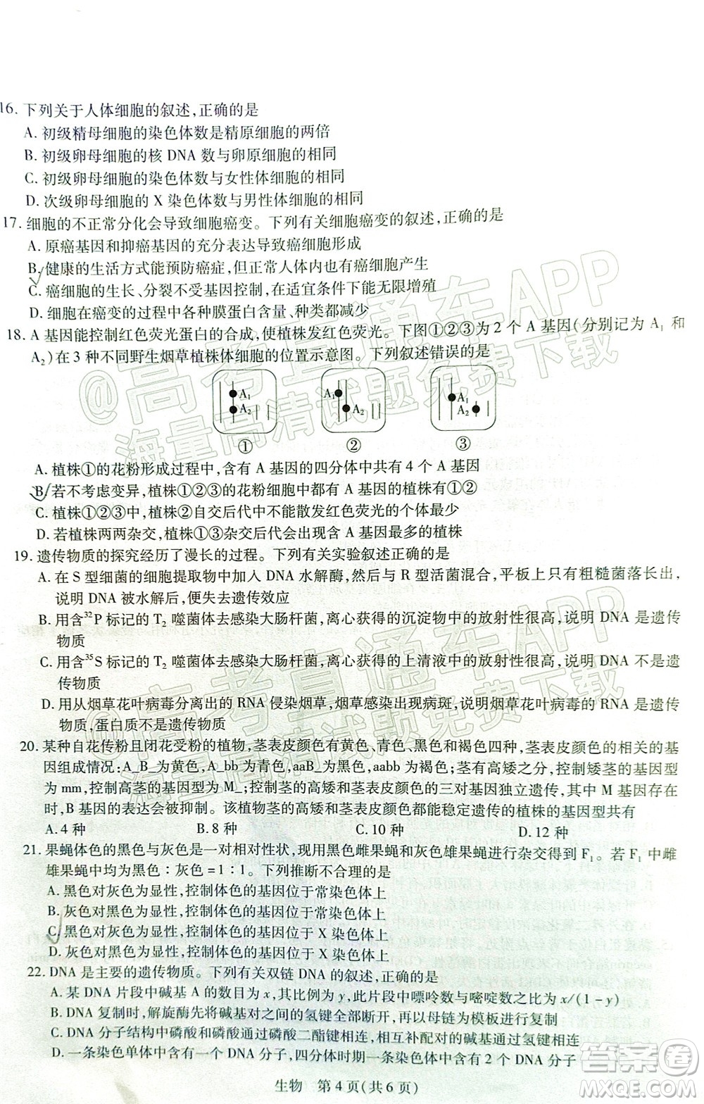 江西穩(wěn)派智慧上進(jìn)2023屆高三10月統(tǒng)一調(diào)研測試生物試題及答案