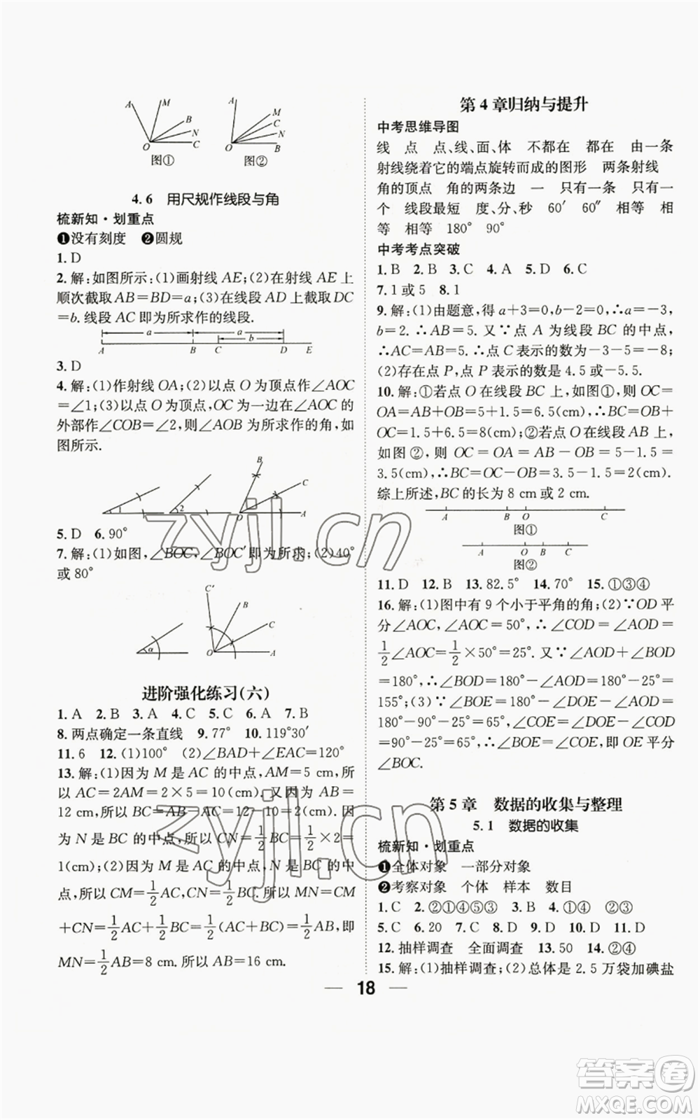 陽(yáng)光出版社2022精英新課堂七年級(jí)上冊(cè)數(shù)學(xué)滬科版參考答案
