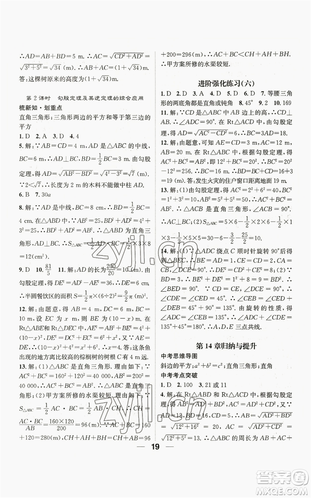 陽光出版社2022精英新課堂八年級上冊數(shù)學華師大版參考答案