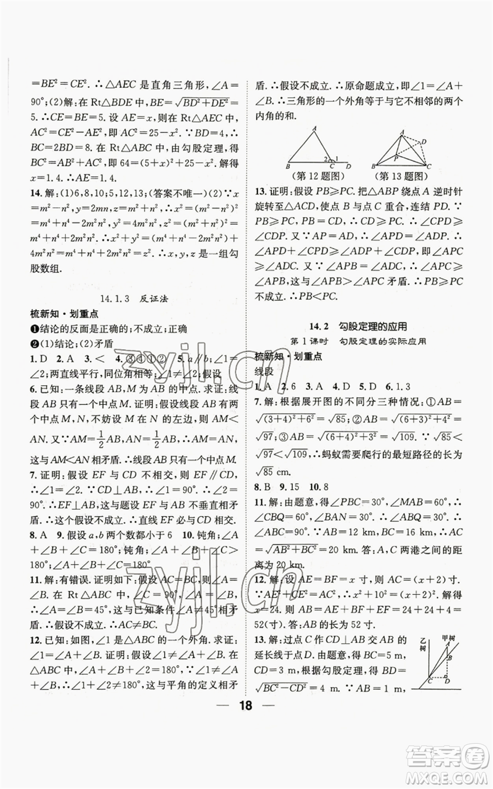 陽光出版社2022精英新課堂八年級上冊數(shù)學華師大版參考答案