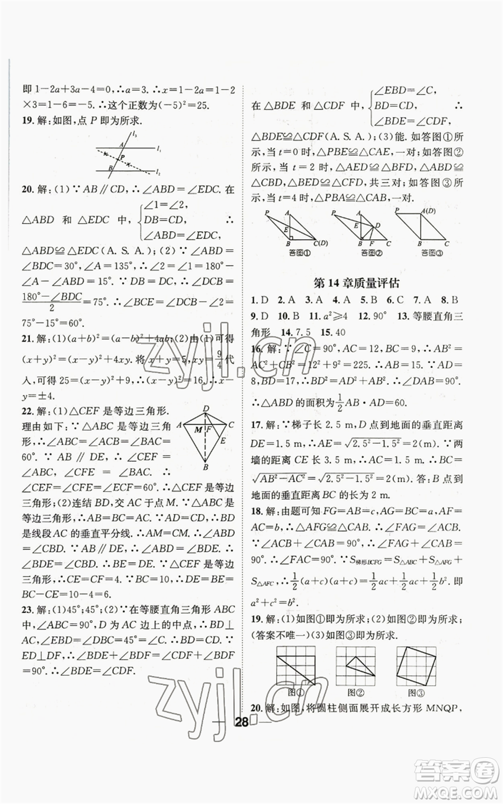 陽光出版社2022精英新課堂八年級上冊數(shù)學華師大版參考答案