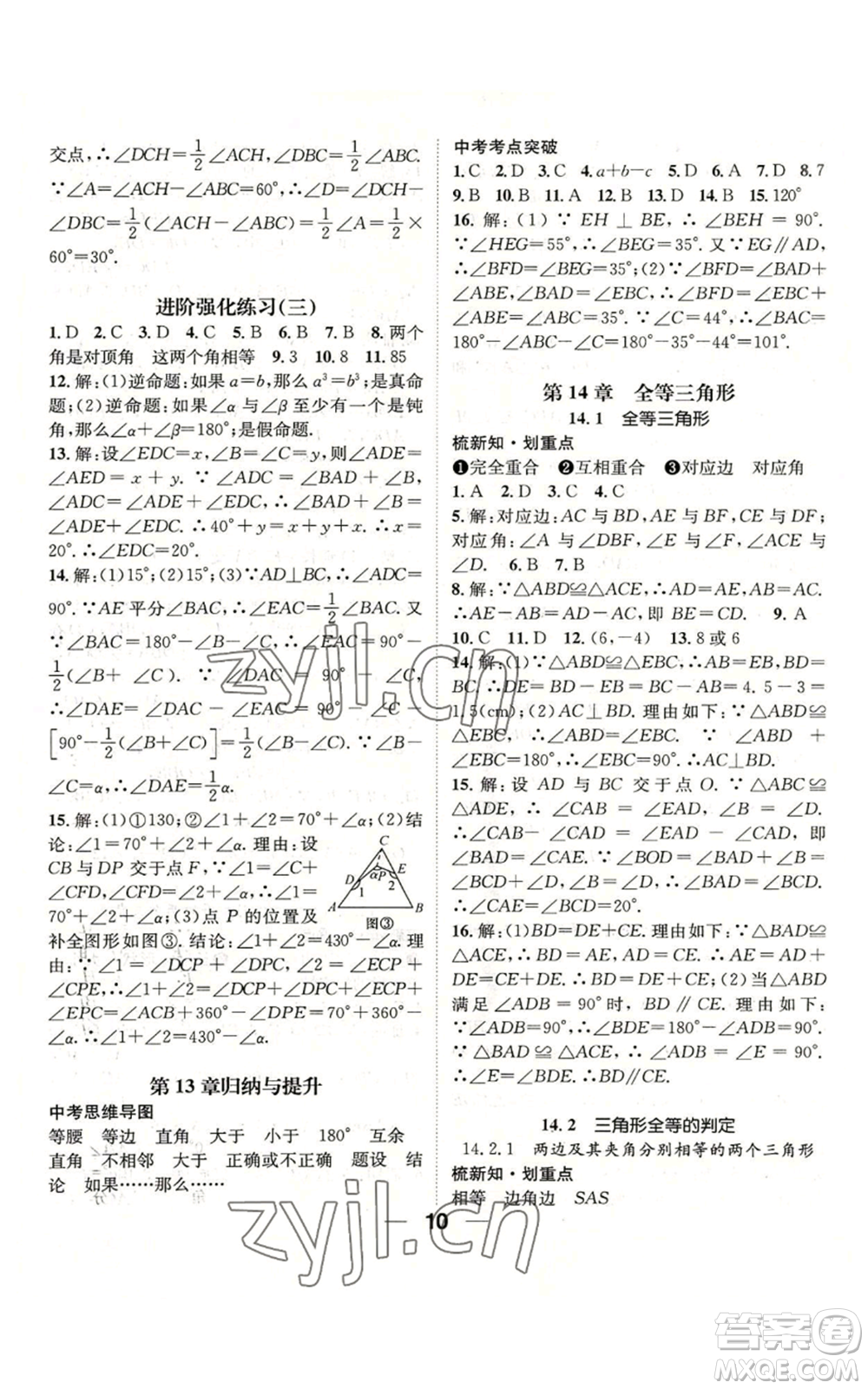 陽光出版社2022精英新課堂八年級上冊數(shù)學(xué)滬科版參考答案