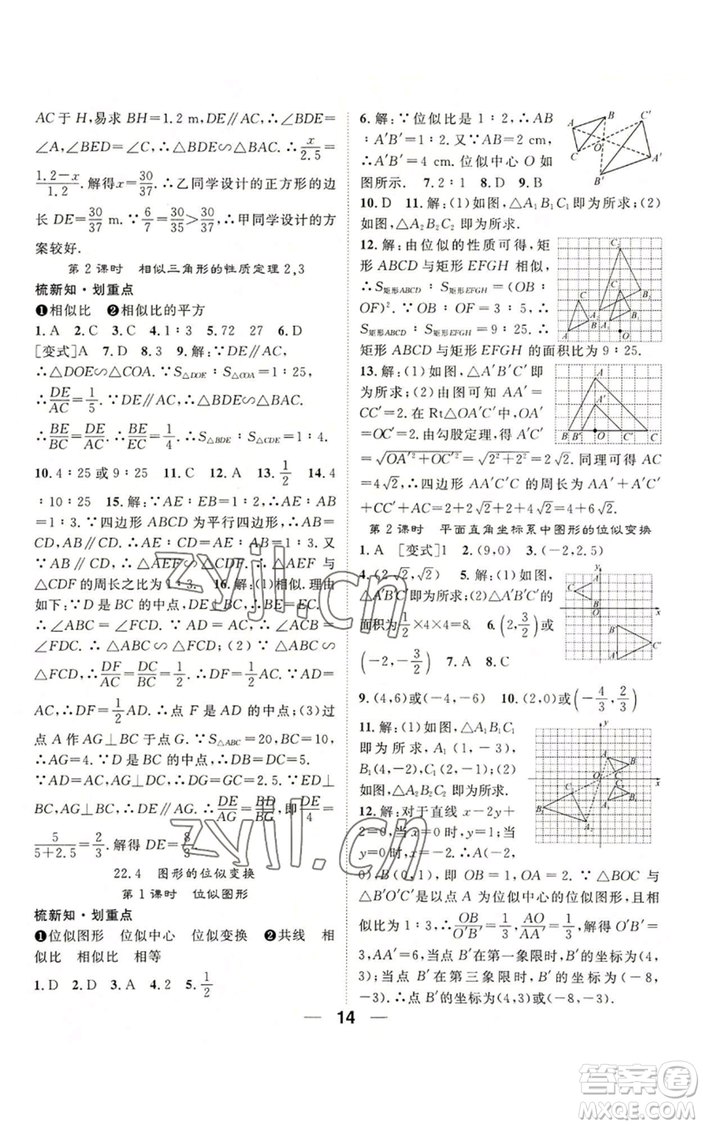 陽光出版社2022精英新課堂九年級(jí)上冊(cè)數(shù)學(xué)滬科版參考答案