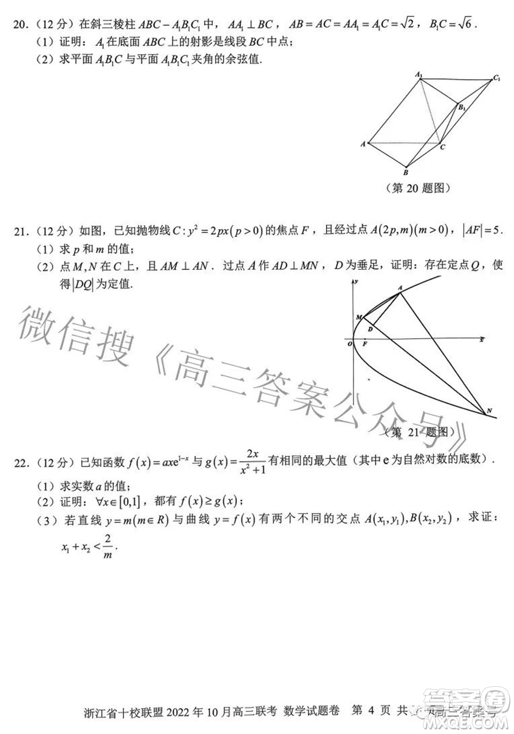 浙江省十校聯(lián)盟2022年10月高三聯(lián)考數(shù)學(xué)試題卷及答案