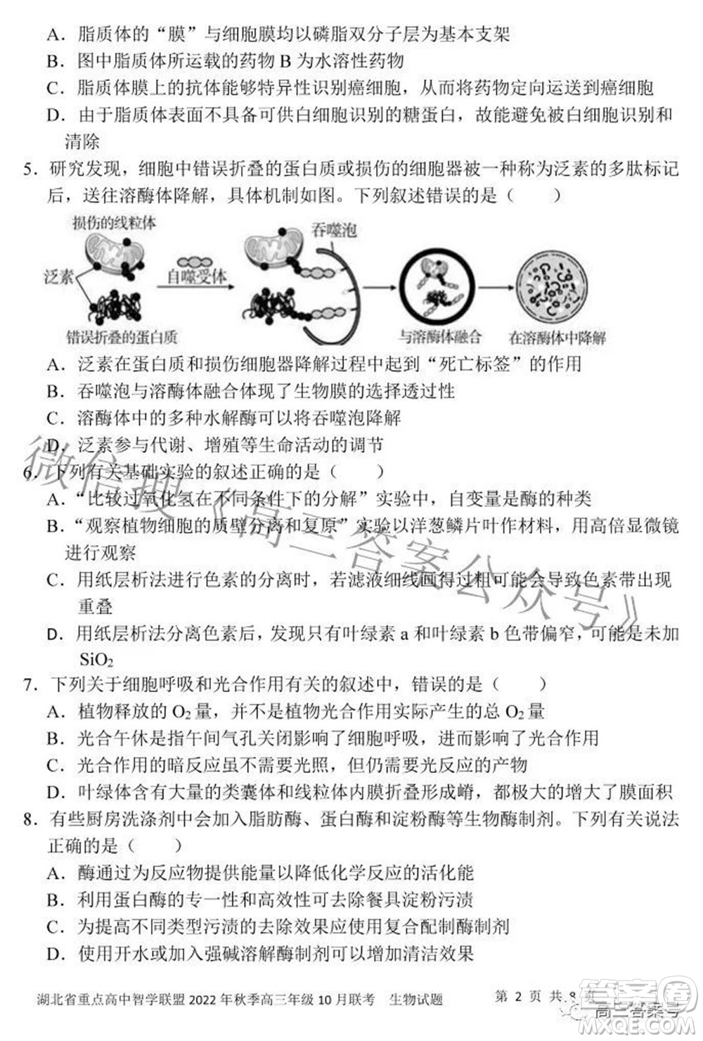 湖北省重點高中智學聯(lián)盟2022年秋季高三年級10月聯(lián)考生物試題及答案
