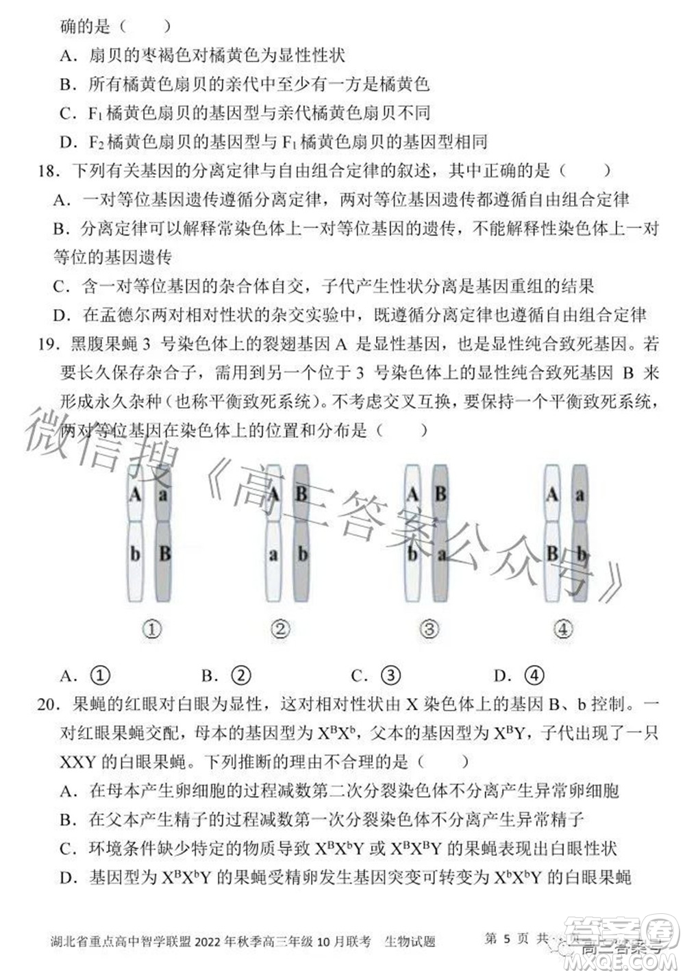 湖北省重點高中智學聯(lián)盟2022年秋季高三年級10月聯(lián)考生物試題及答案
