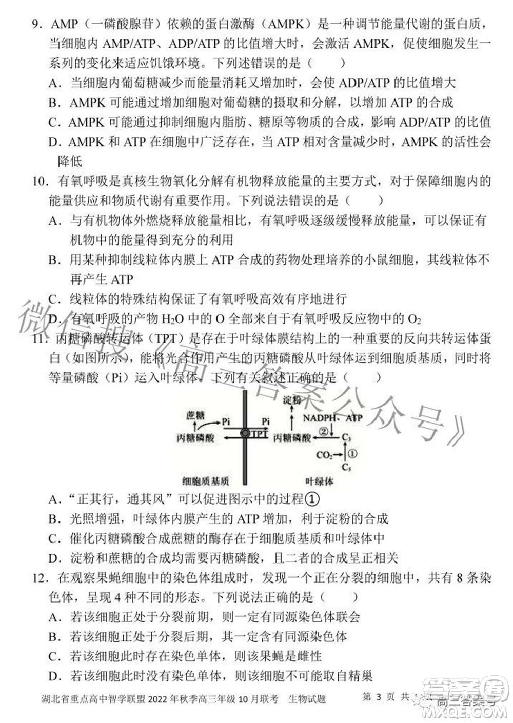 湖北省重點高中智學聯(lián)盟2022年秋季高三年級10月聯(lián)考生物試題及答案
