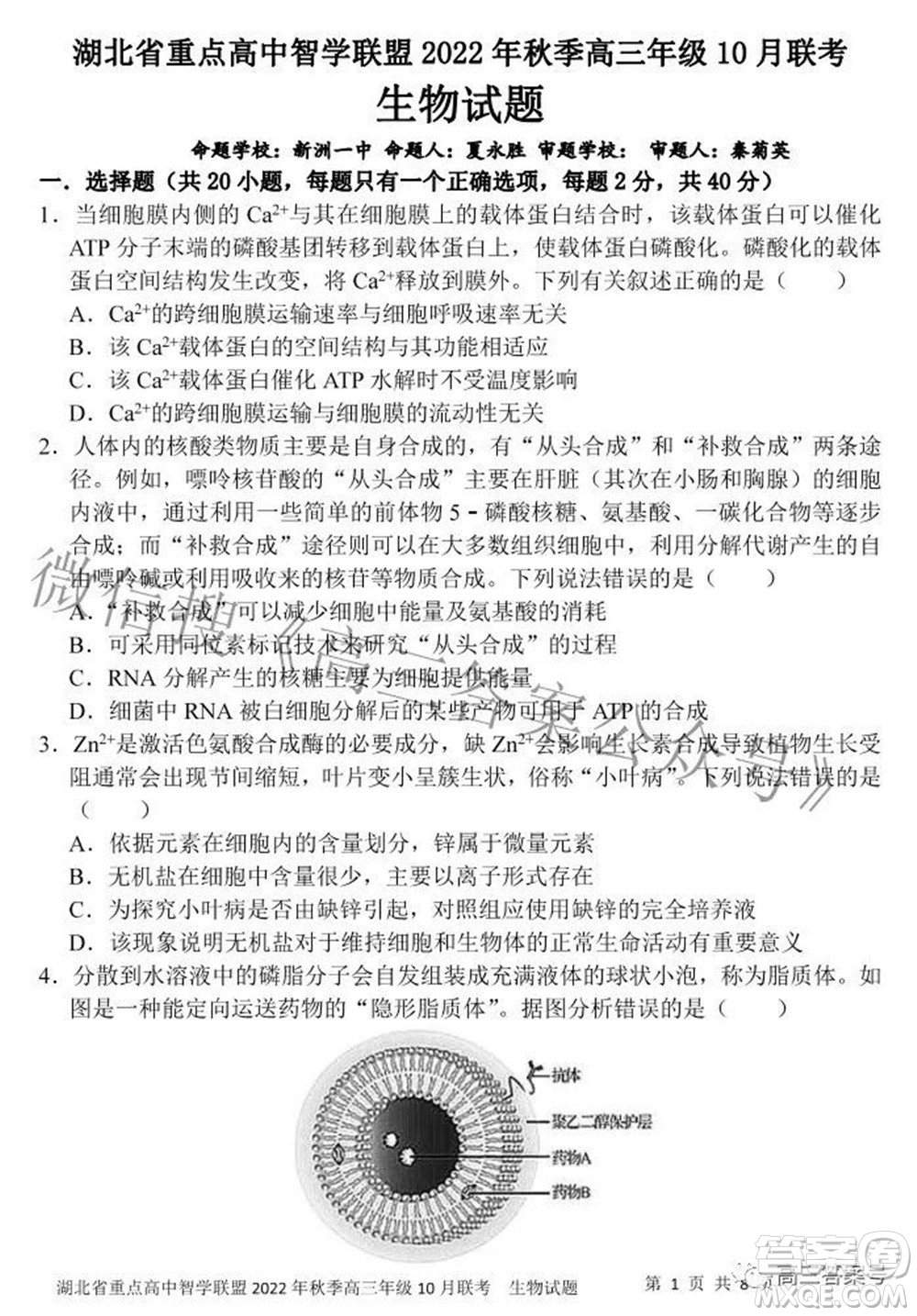 湖北省重點高中智學聯(lián)盟2022年秋季高三年級10月聯(lián)考生物試題及答案