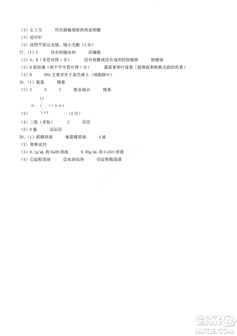 2022年山東省學(xué)情空間區(qū)域教研共同體高一10月份聯(lián)考生物試題及答案