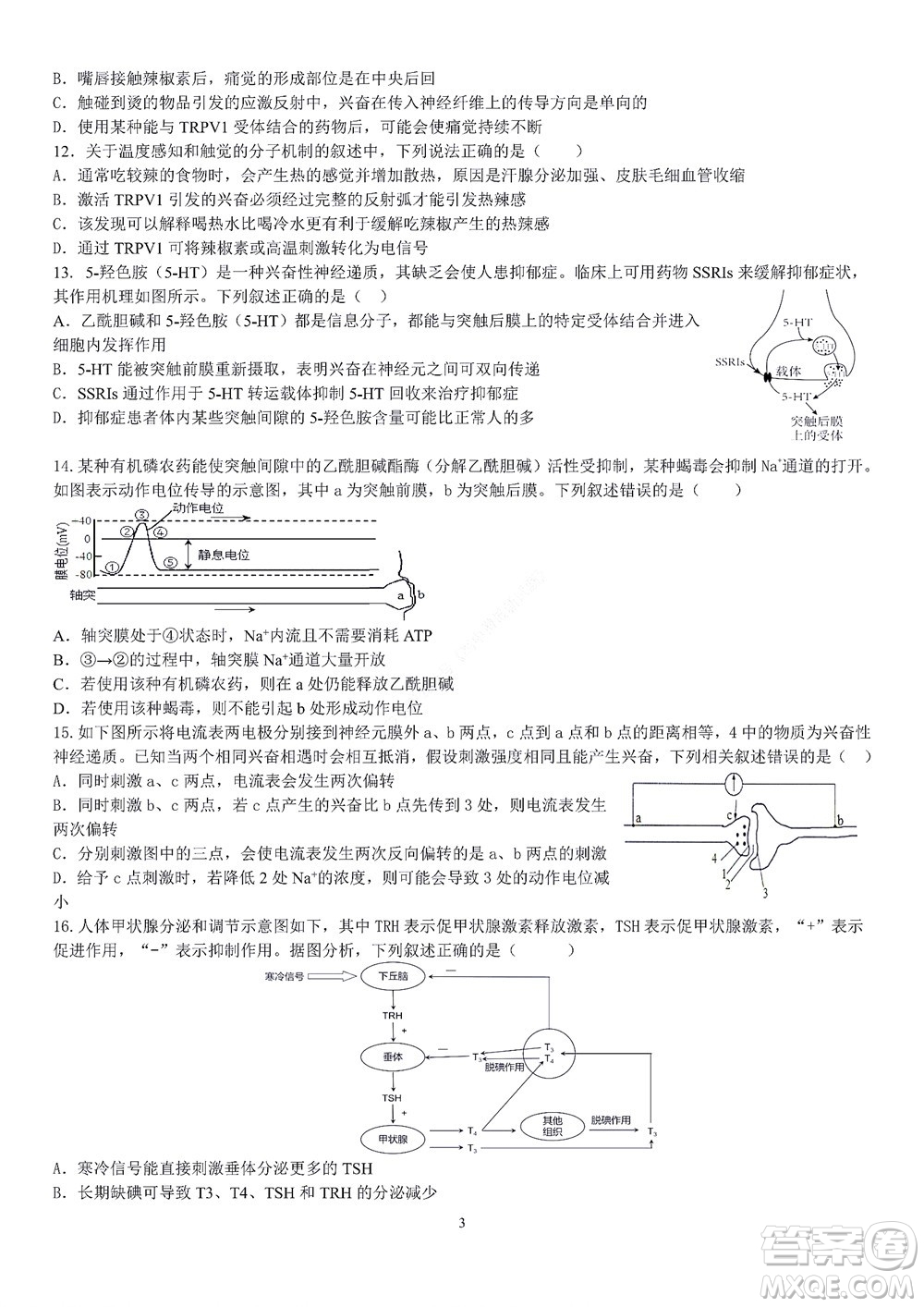 2022學(xué)年第一學(xué)期浙江省精誠聯(lián)盟10月聯(lián)考高二年級生物學(xué)科試題及答案