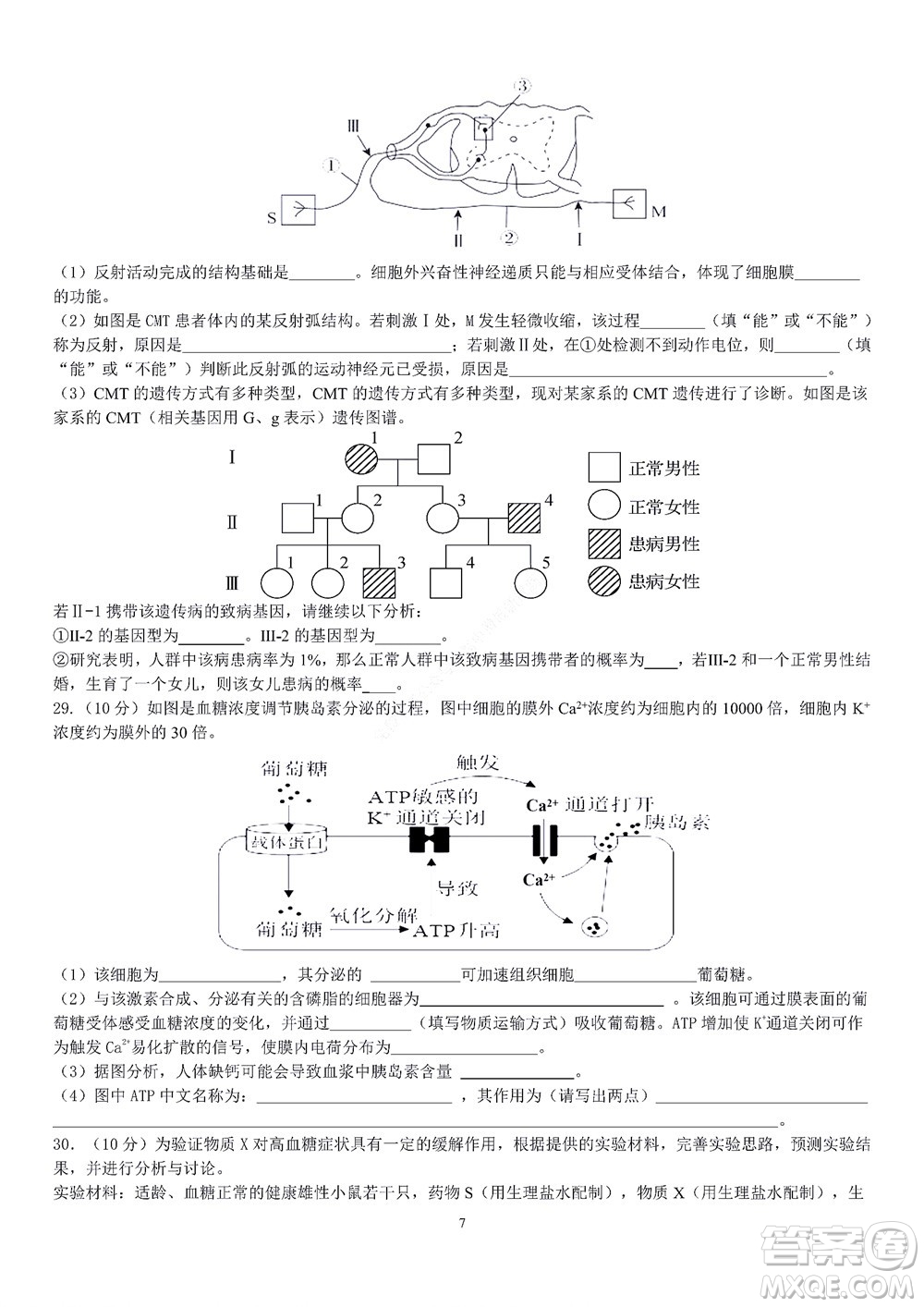 2022學(xué)年第一學(xué)期浙江省精誠聯(lián)盟10月聯(lián)考高二年級生物學(xué)科試題及答案