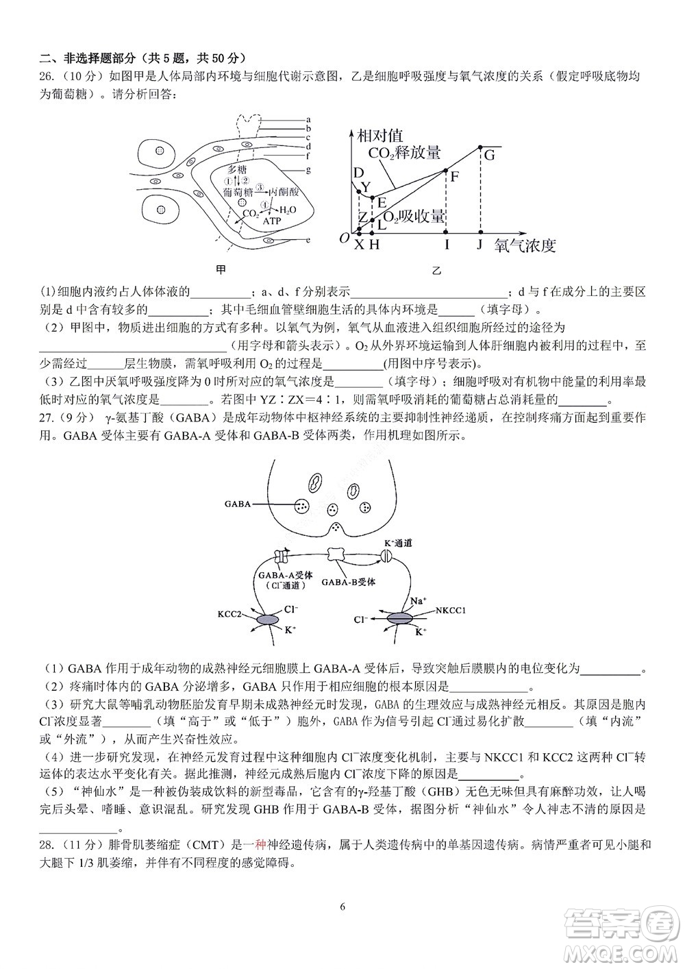 2022學(xué)年第一學(xué)期浙江省精誠聯(lián)盟10月聯(lián)考高二年級生物學(xué)科試題及答案