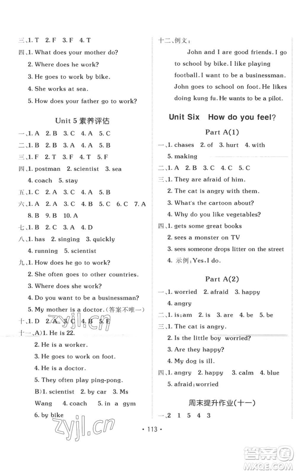 新疆青少年出版社2022同行課課100分過關(guān)作業(yè)六年級上冊英語人教版參考答案