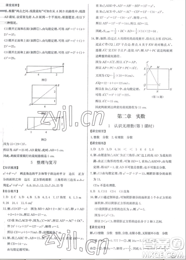 北京師范大學出版社2022秋課堂精練數(shù)學八年級上冊北師大版江西專版答案