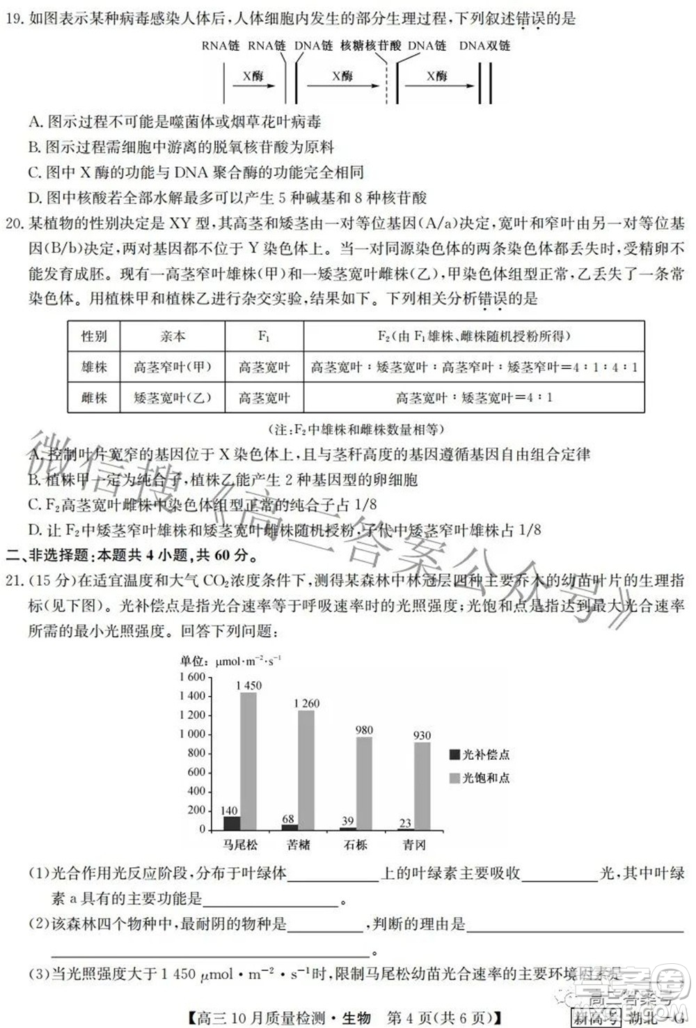 2023屆九師聯(lián)盟新高考高三10月質(zhì)量檢測(cè)鞏固卷生物試題及答案