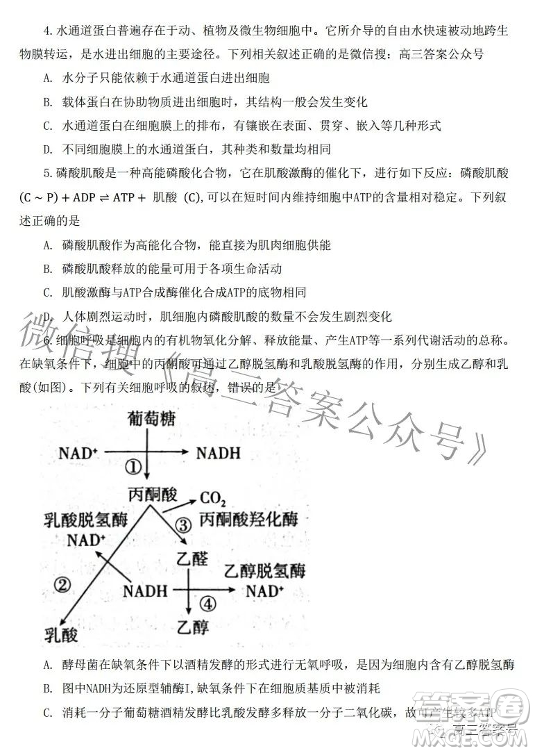 河北省2023屆高三年級大數(shù)據(jù)應(yīng)用調(diào)研聯(lián)合測評生物試題及答案