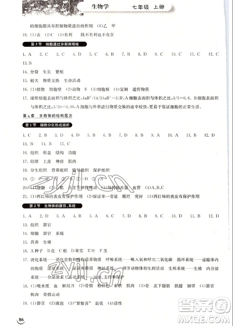 湖北教育出版社2022秋長江作業(yè)本同步練習(xí)冊生物學(xué)七年級上冊北師大版答案