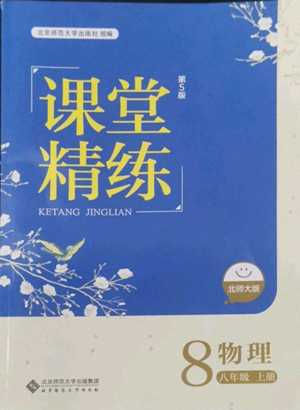 北京師范大學(xué)出版社2022秋課堂精練物理八年級上冊北師大版答案