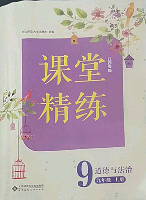 北京師范大學(xué)出版社2022秋課堂精練道德與法治九年級(jí)上冊江西專版答案