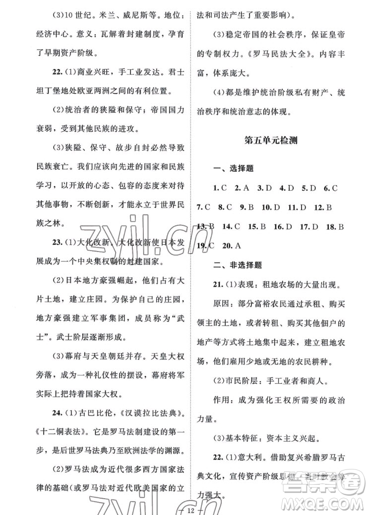 北京師范大學出版社2022秋課堂精練世界歷史九年級上冊江蘇專版答案