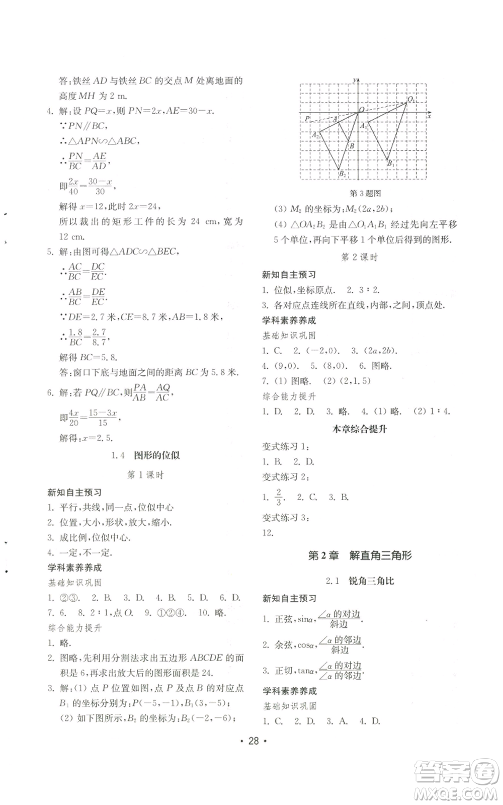 山東教育出版社2022初中基礎(chǔ)訓(xùn)練九年級上冊數(shù)學(xué)人教版參考答案