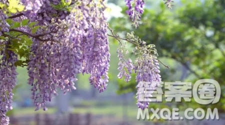 你就是一道風景作文600字 關于你就是一道風景的作文600字