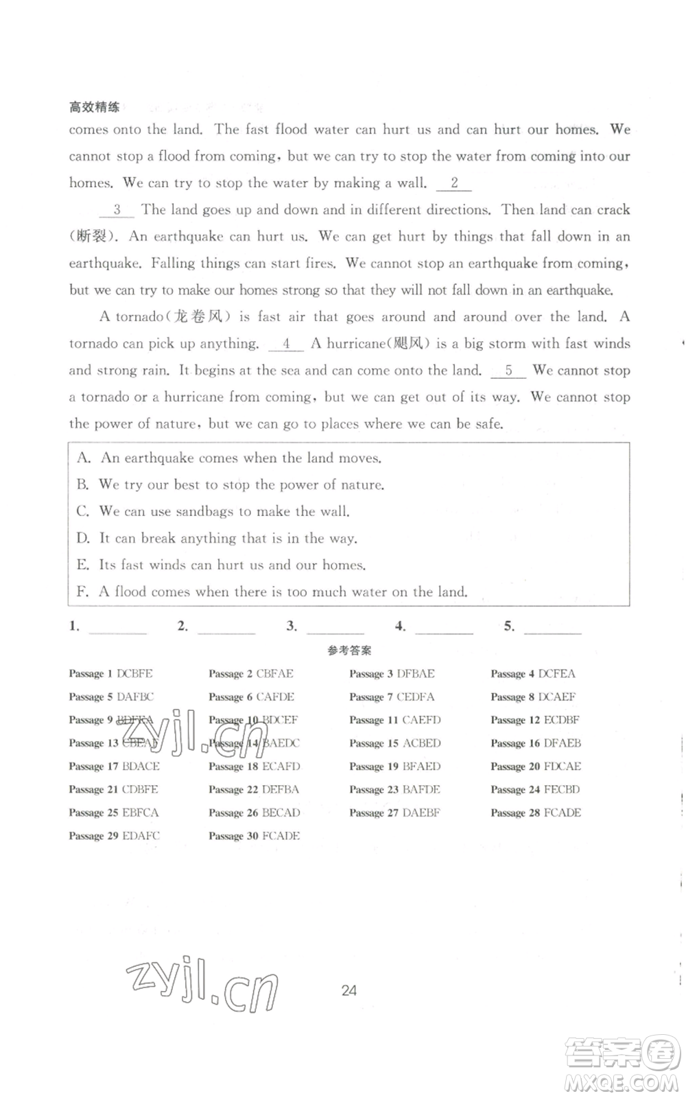 安徽人民出版社2022高效精練八年級(jí)上冊(cè)英語人教版參考答案