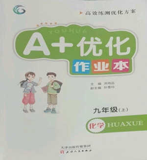 天津人民出版社2022A+優(yōu)化作業(yè)本九年級上冊化學人教版參考答案
